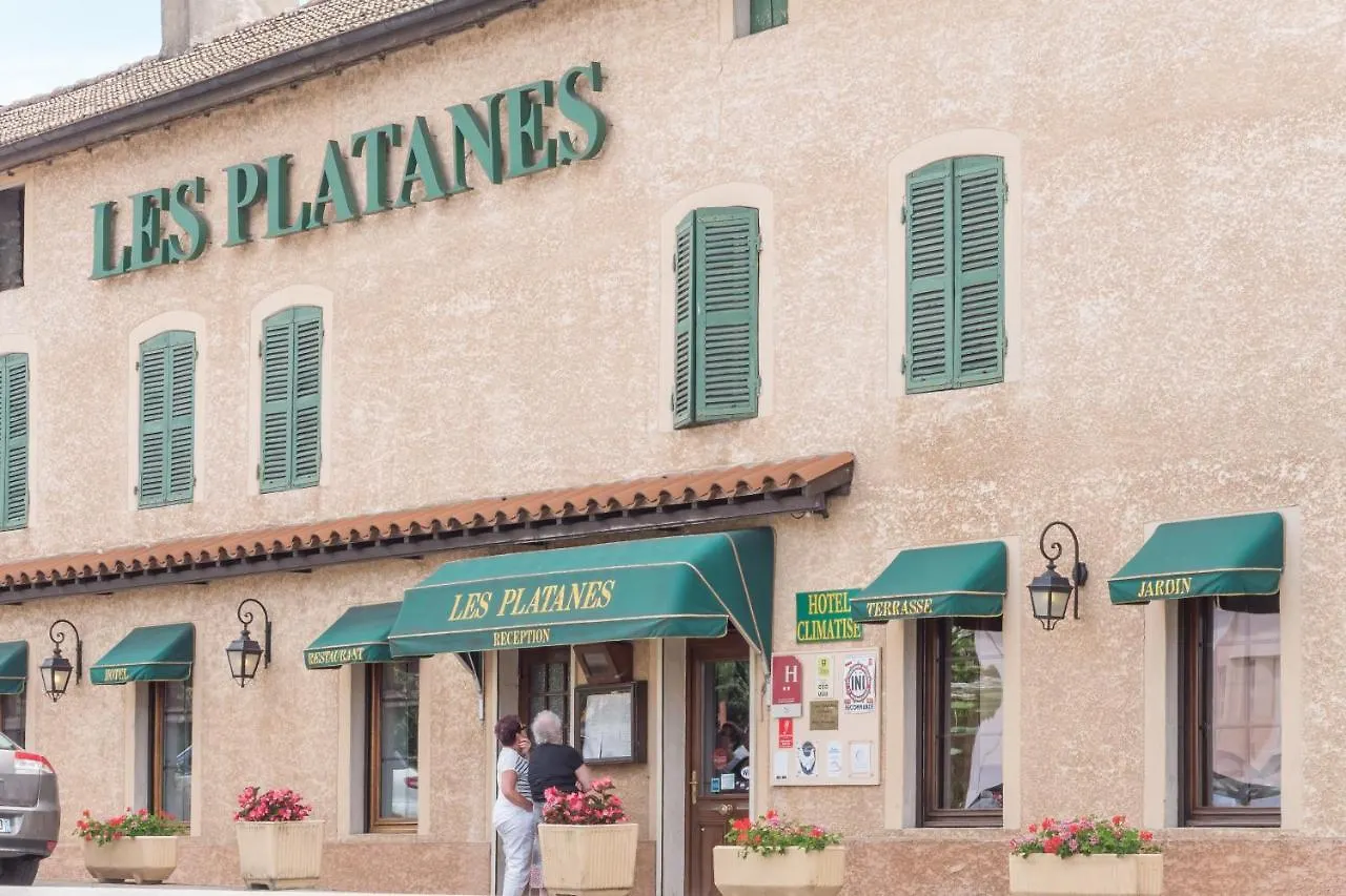 Hôtel et appartements les platanes Thueyts 3*,